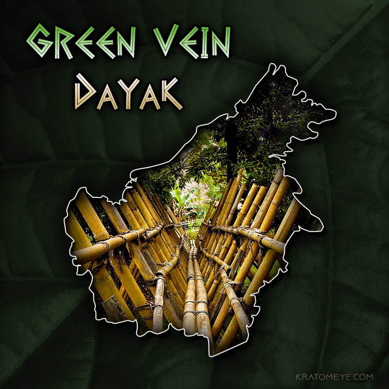 GREEN VEIN DAYAK KRATOM