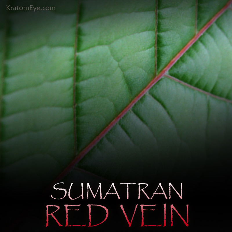 SUMATRAN RED VEIN KRATOM