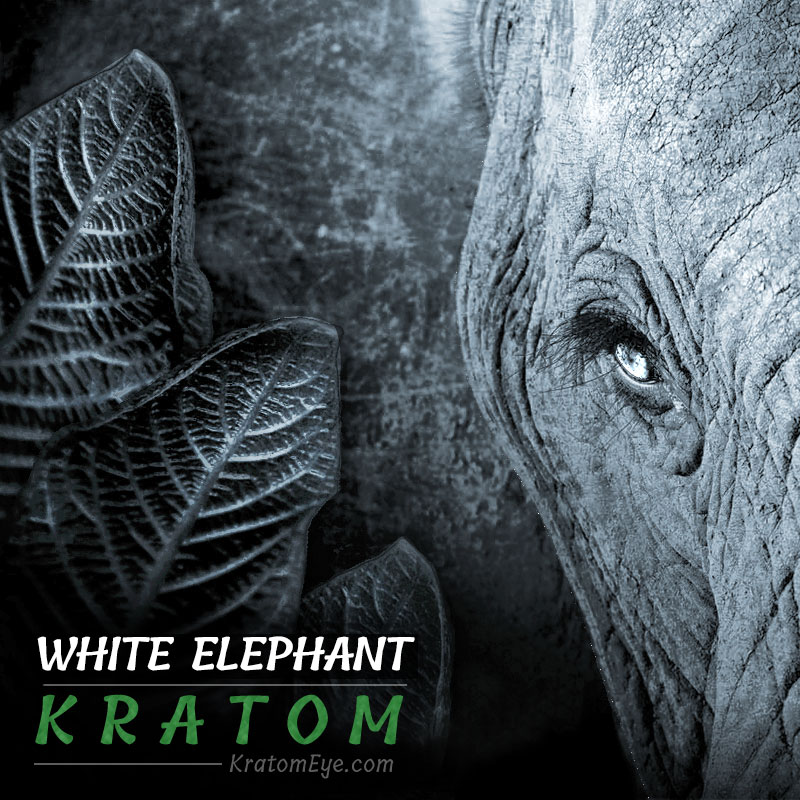 WHITE ELEPHANT KRATOM