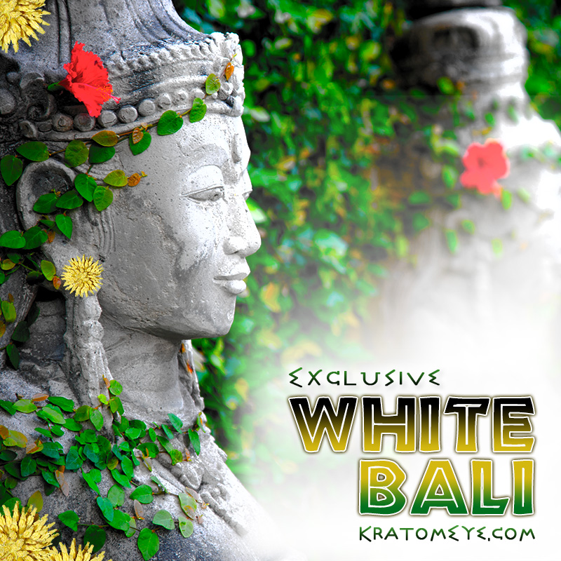 EXCLUSIVE WHITE VEIN BALI KRATOM