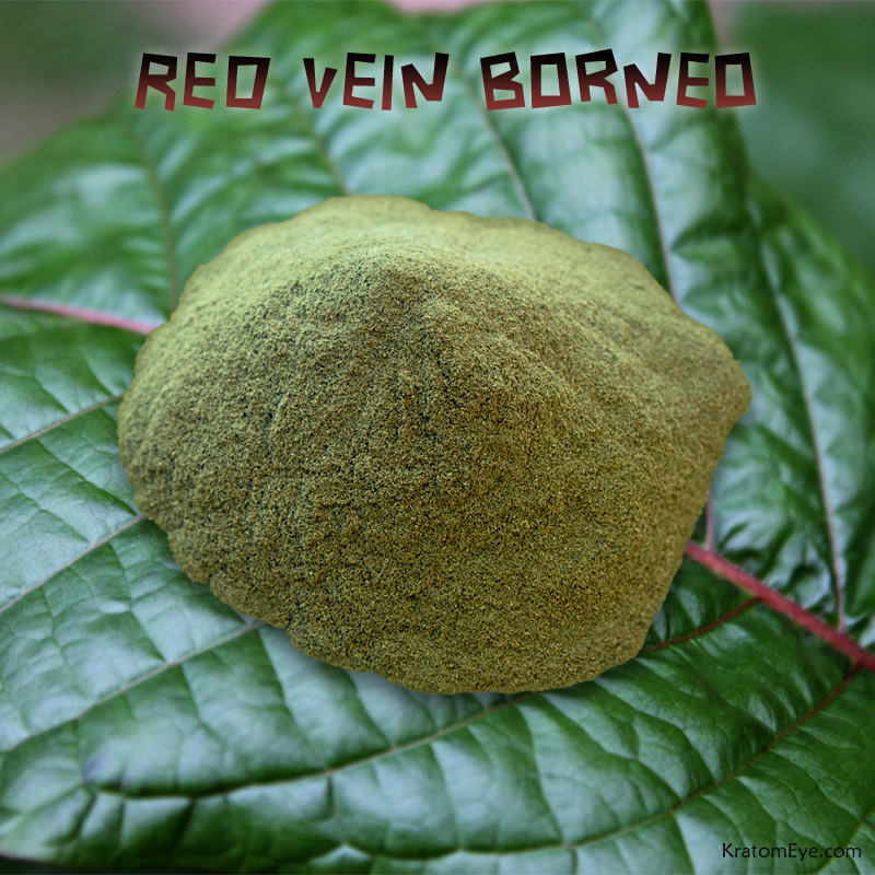 RED VEIN BORNEO